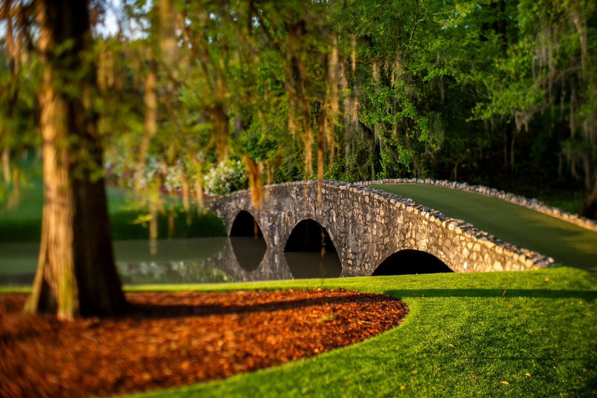 Rory McIlroy Tracker tweet media