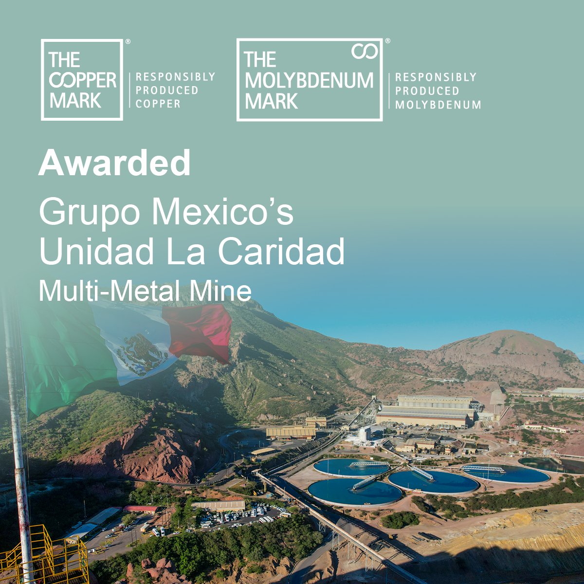 @coppermark tweet media