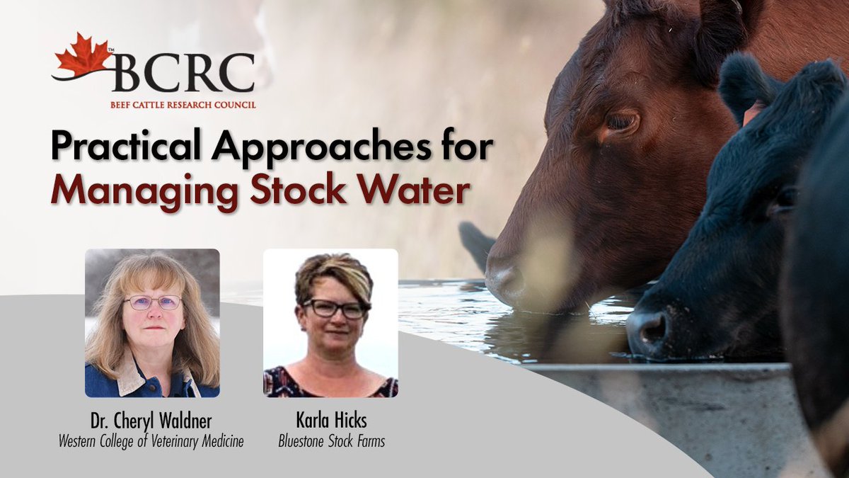 Beef Cattle Research Council tweet media