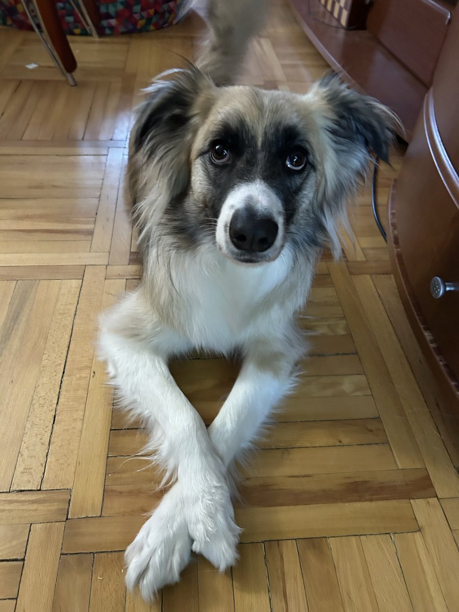 DiAmonCE tweet media