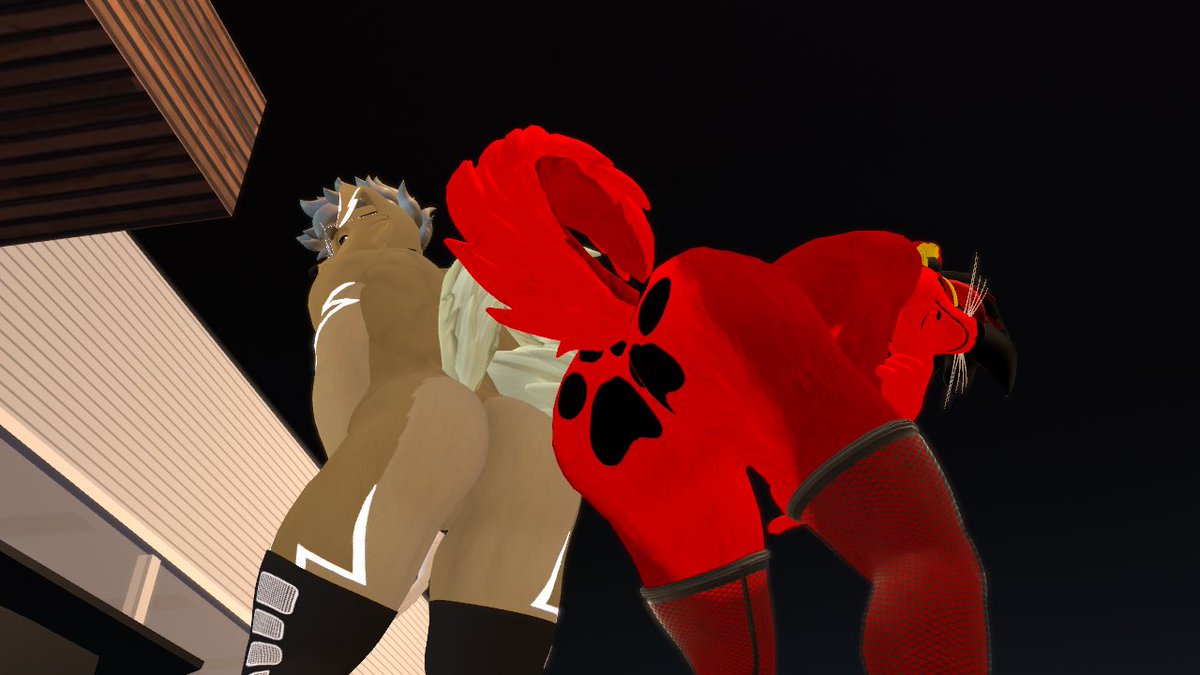 Buttpawz🔞🔜FWA🔜FURALITY ULTRA tweet media