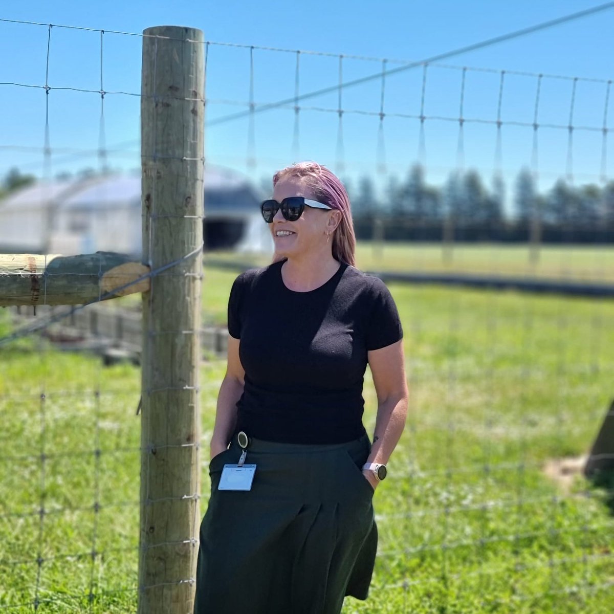 Potatoes New Zealand tweet media