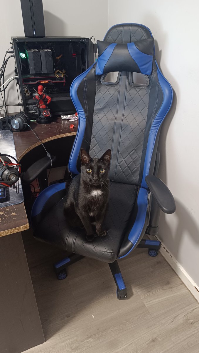 I think I interrupted his gaming session