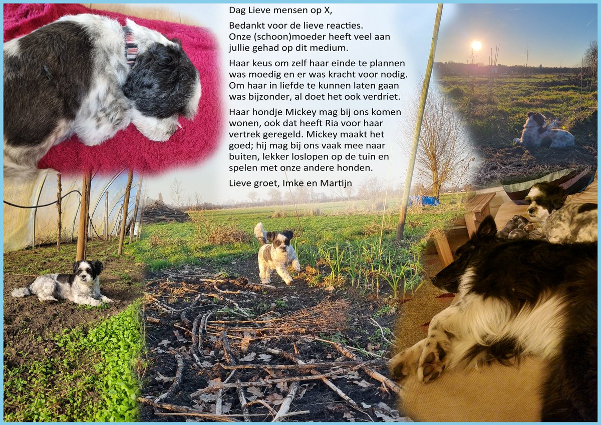 RiaSanders tweet media