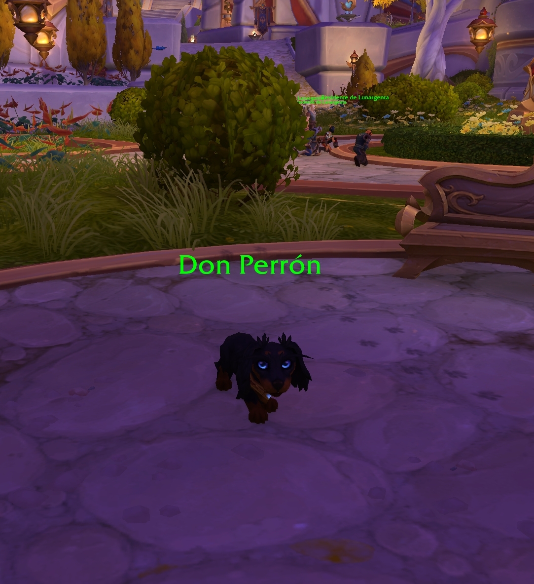 Noelia 🌸 tweet media