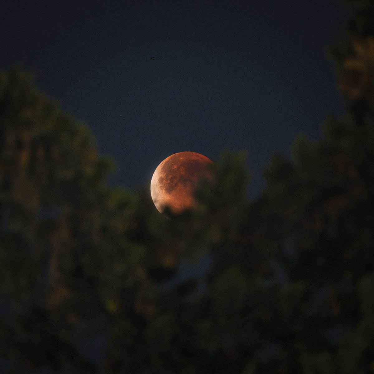 El eclipse total de luna de esta madrugada visto desde la Ciudad de México 📸🌕

#EclipseLunar2026