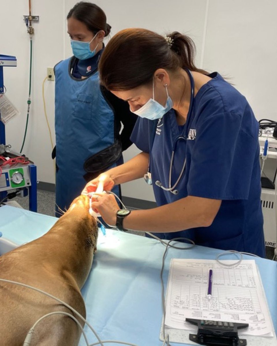 Six Flags Discovery Kingdom tweet media