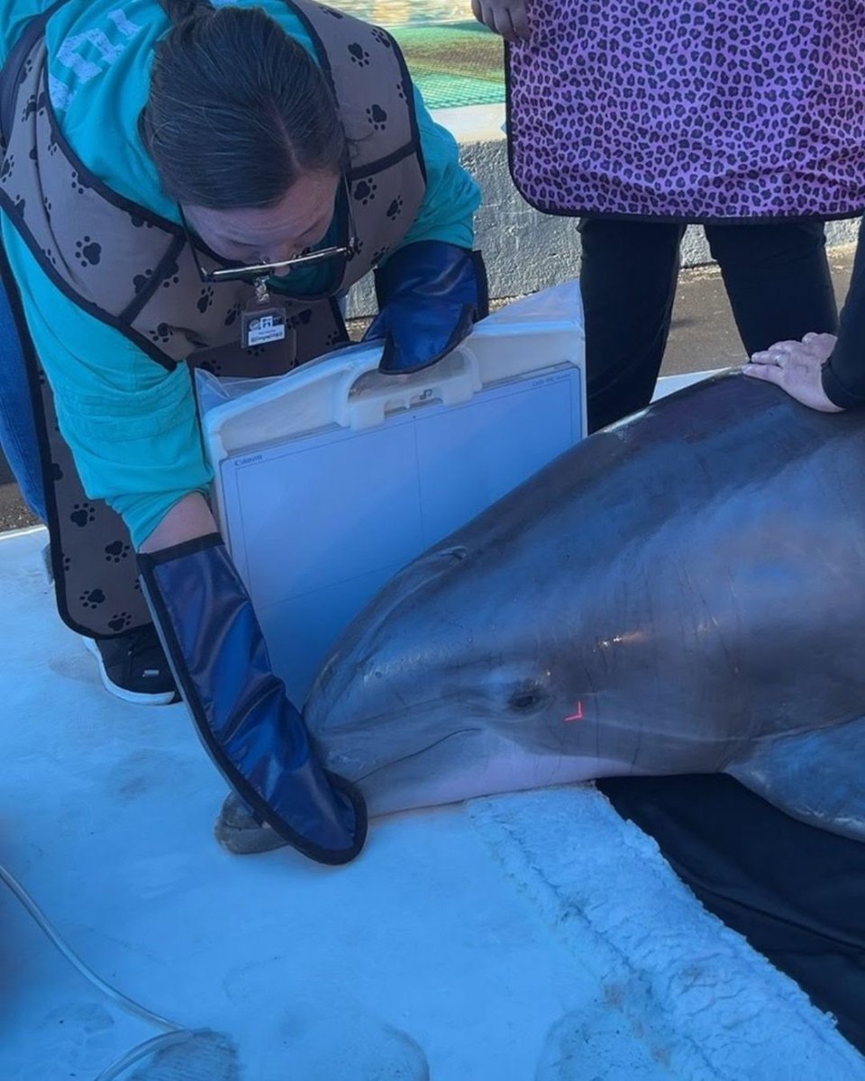 Six Flags Discovery Kingdom tweet media