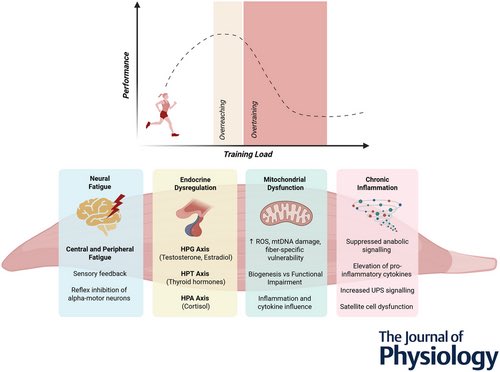 Aitor Viribay tweet media