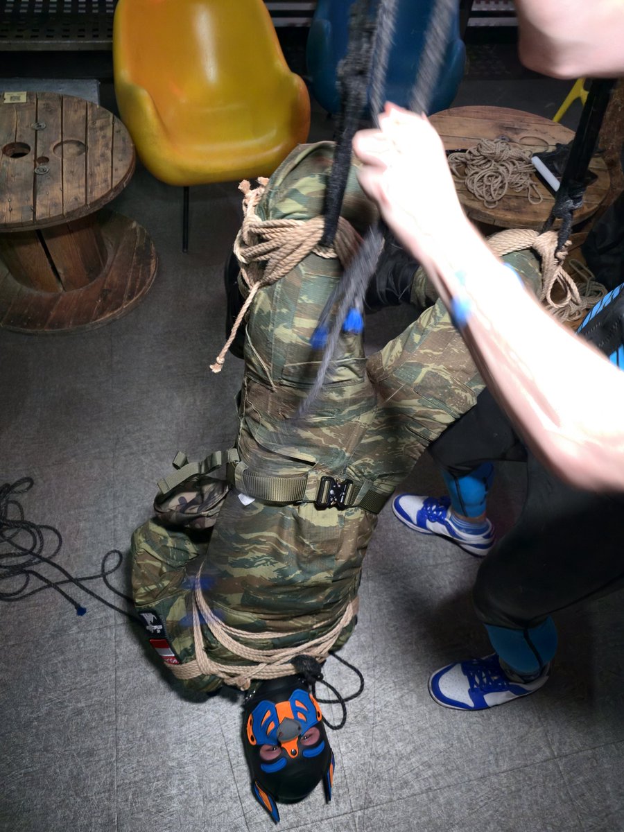 Pup Nemis tweet media