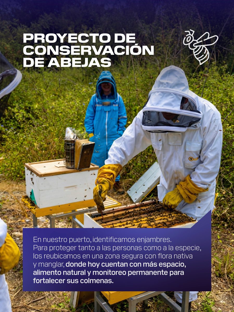 DP World Ecuador tweet media