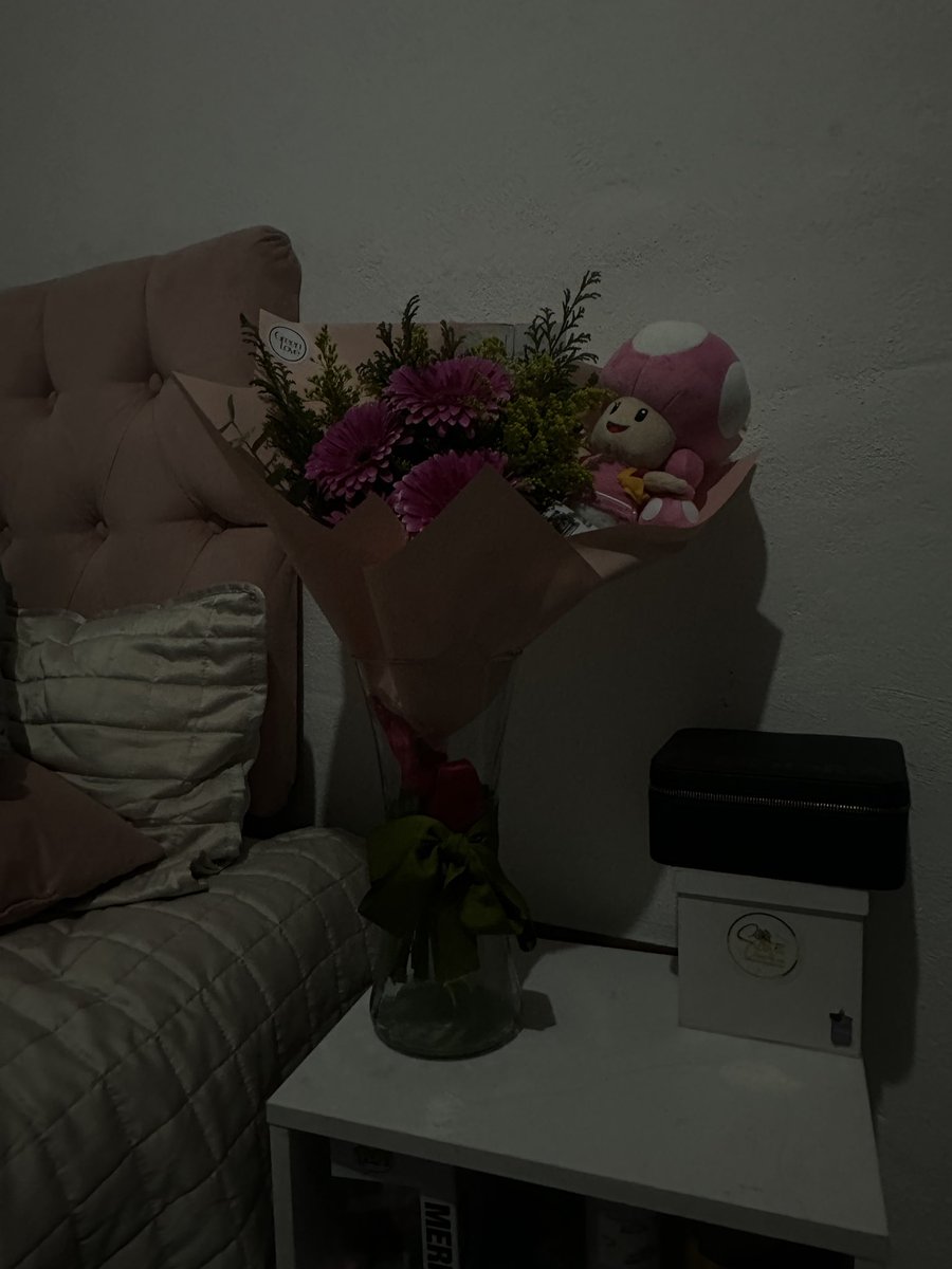 amo a toadette y ayer me dieron una😭💗