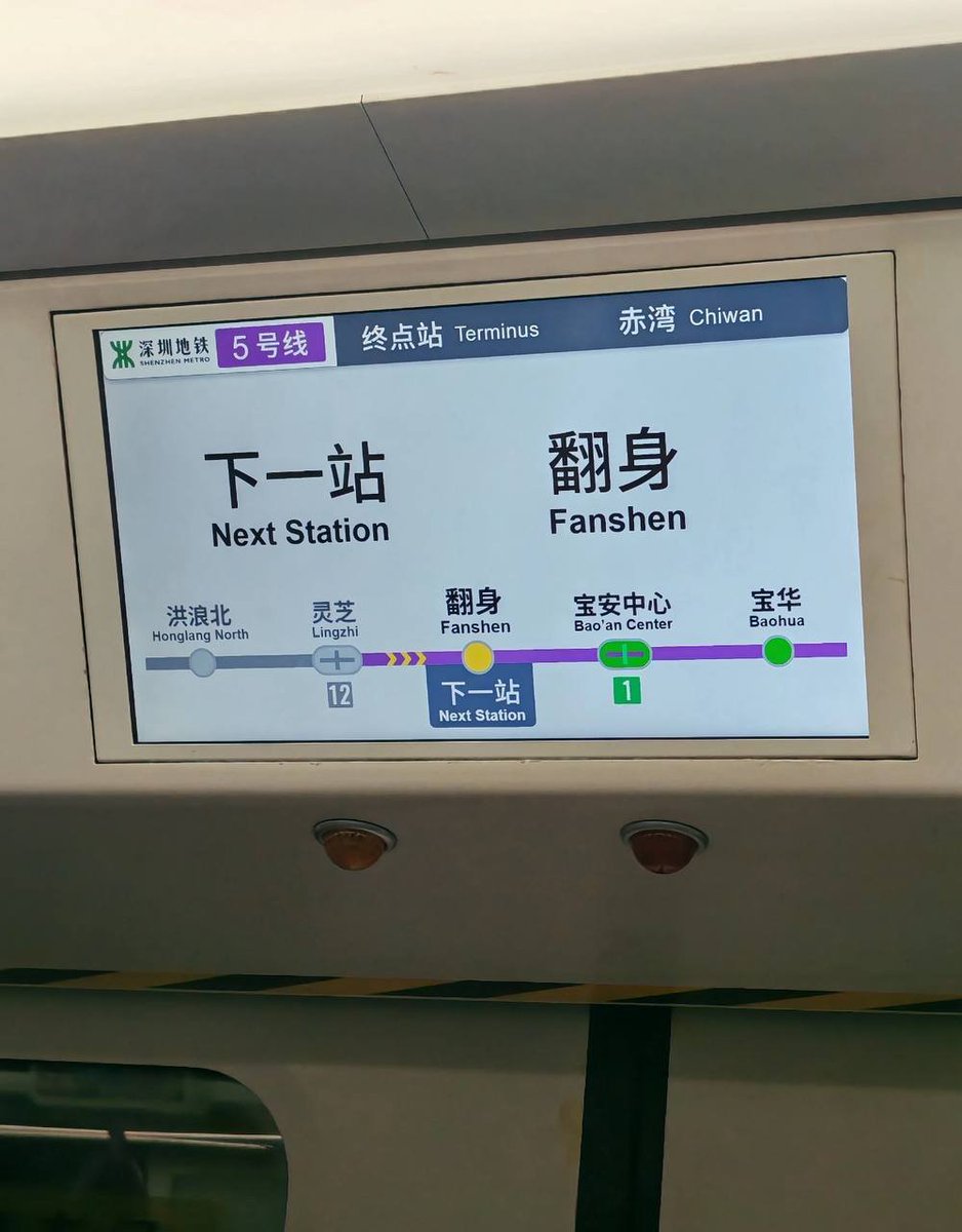 亲爱的若兰 tweet media