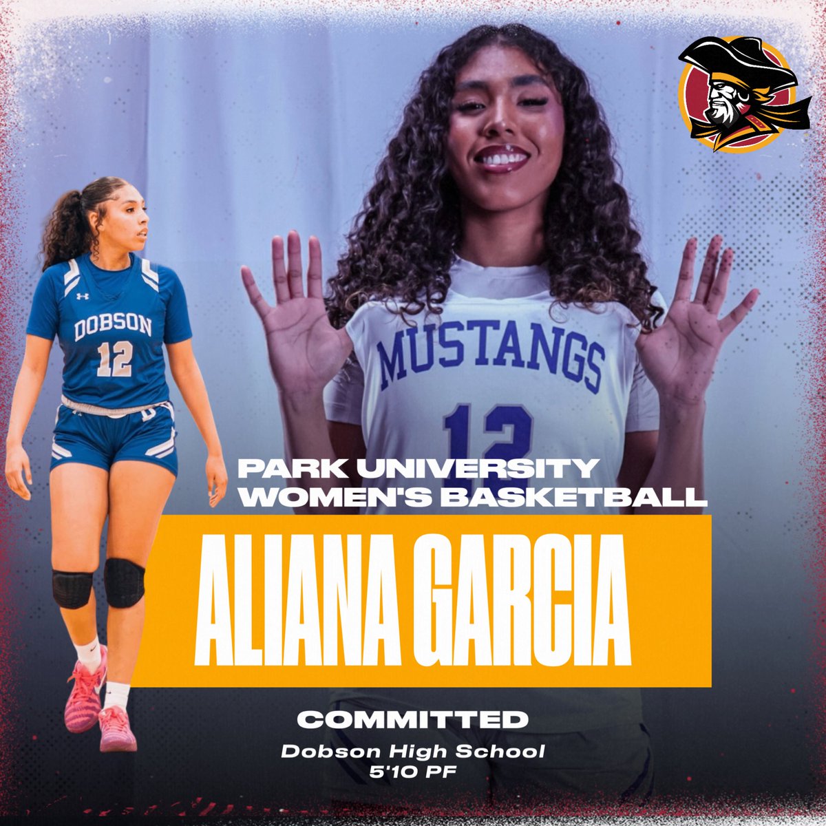 Park University Women's Basketball tweet media