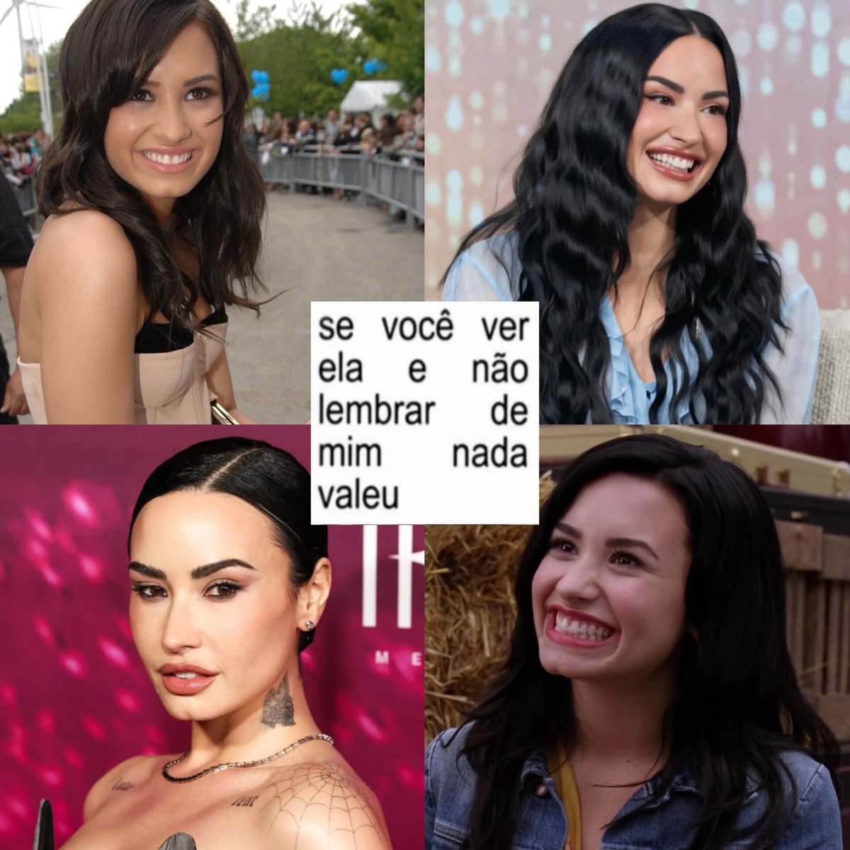 demibrasil tweet picture
