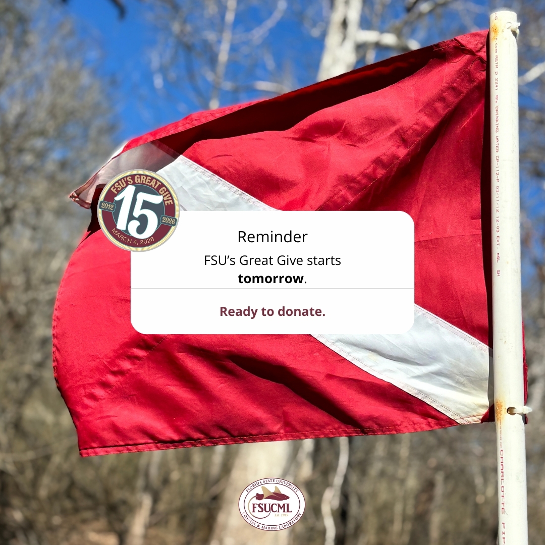 FSU Coastal & Marine Lab tweet media