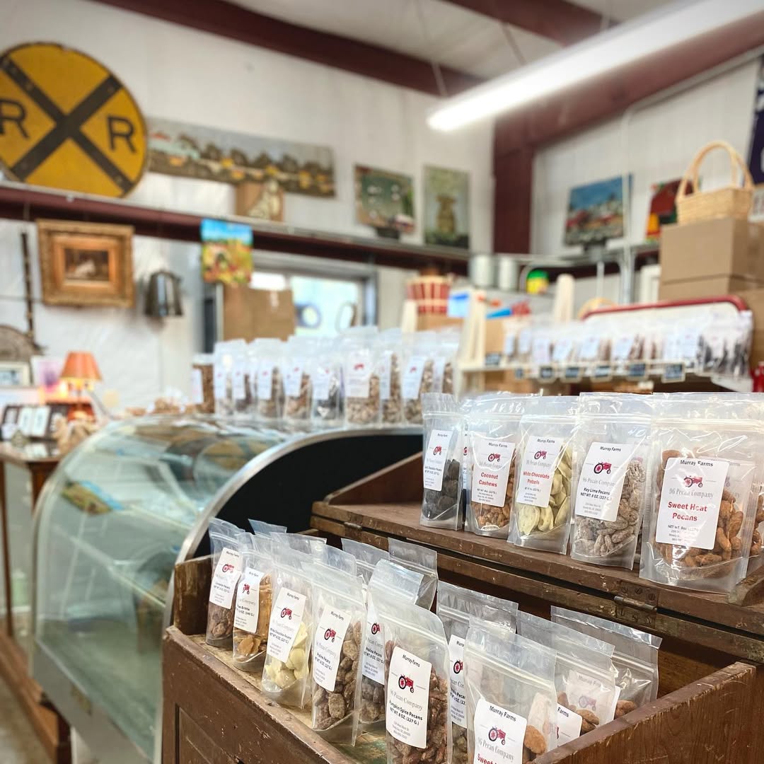 Old 96 District tweet media