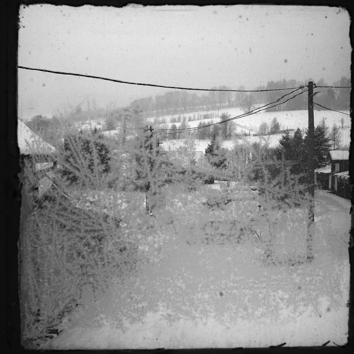 atomicbeecz's tweet photo. Okno / Window #window #Vysocina #cold #winter #CzechRepublic #Czechia #Czechscape #blackandwhite #photo #photography https://t.co/qnTovGWRki