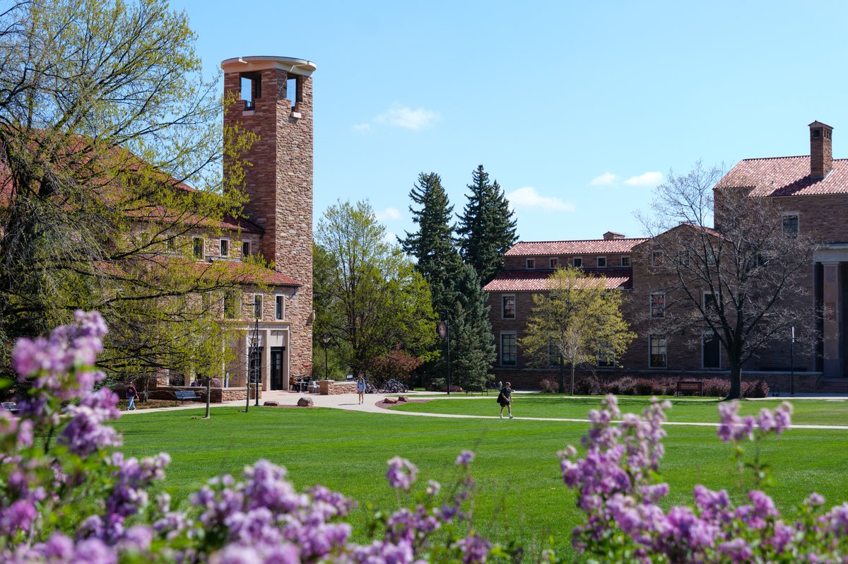 CU Boulder 🦬 tweet media