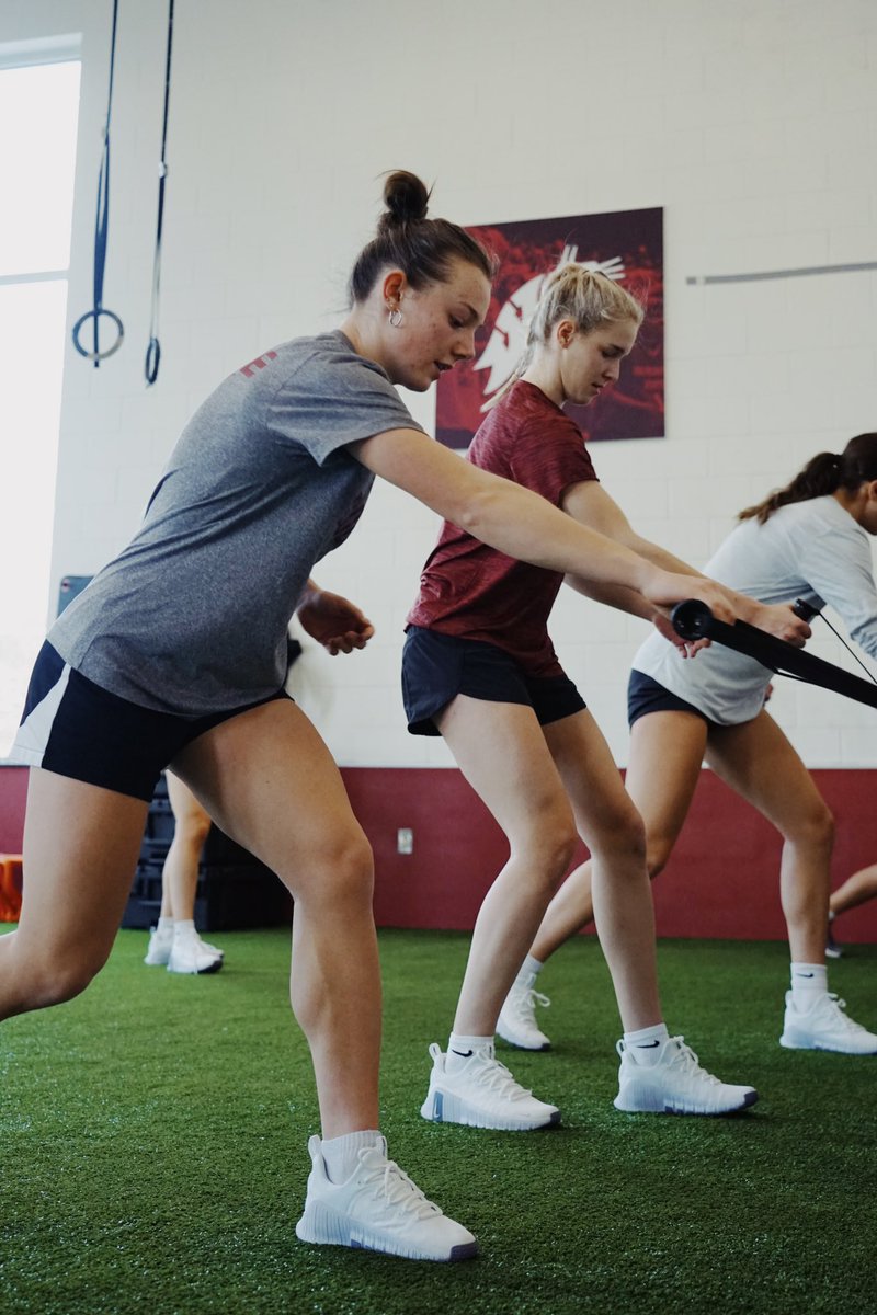 Washington State Soccer tweet media