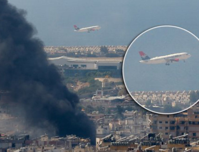 Akilian Design tweet media