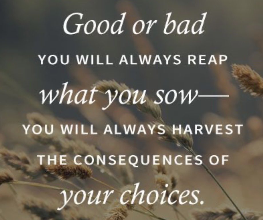 Trae Danielle, MBA tweet media