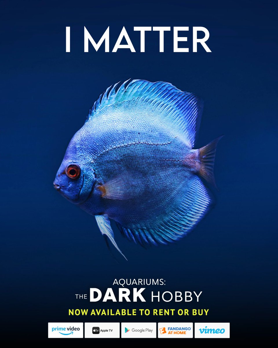 Aquariums: The Dark Hobby tweet media