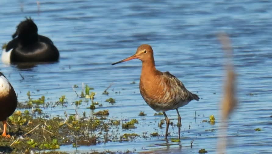 stuart j mundy tweet media