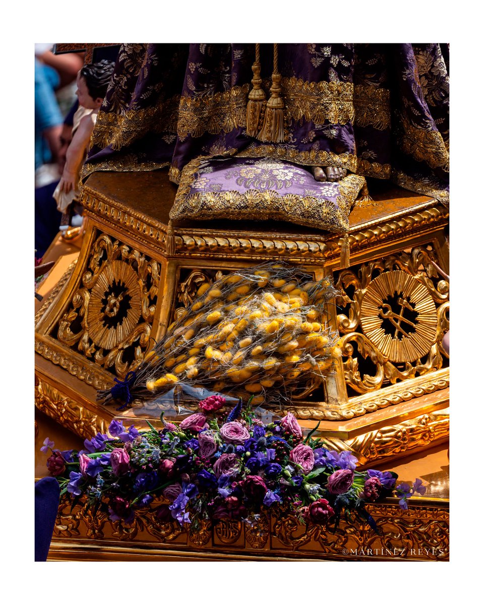 Este es el camino, andad por él.

17/40

#SSantaMurcia