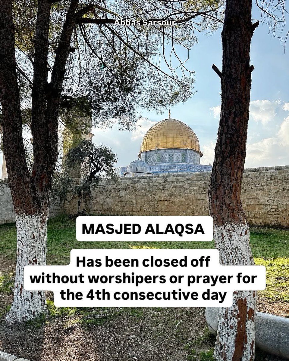 Abbas Sarsour tweet media