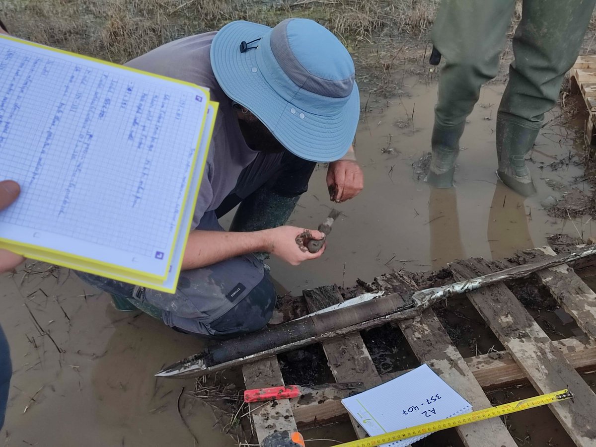 GRESEPIA tweet media