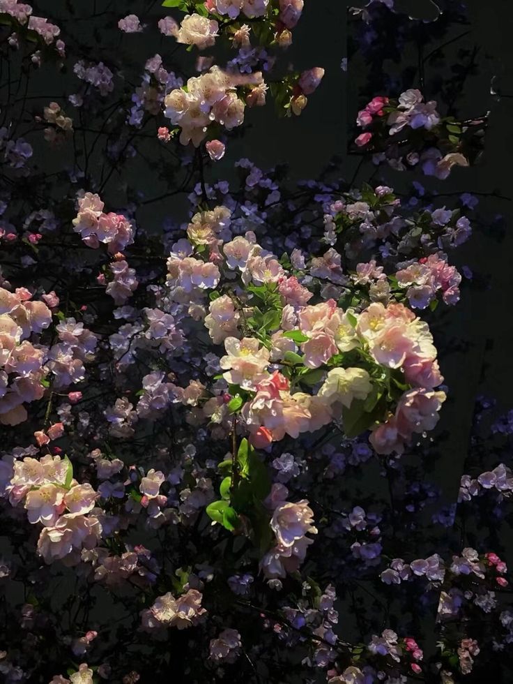 only aesthetic tweet media