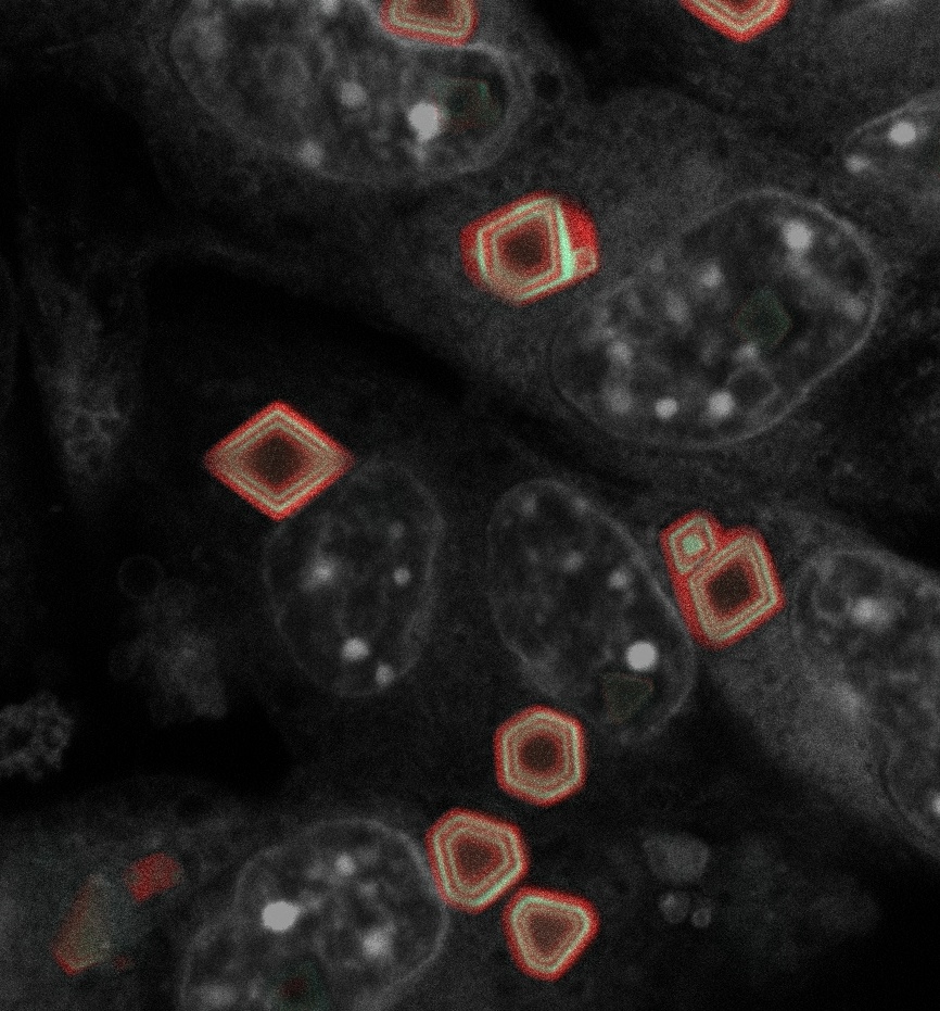 Dingchang Lin tweet media