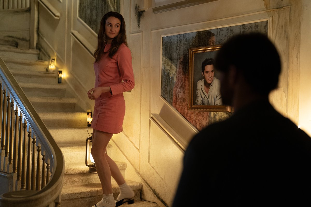 Paradise tweet media