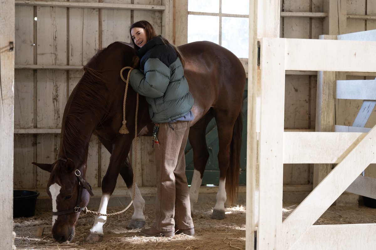 Paradise tweet media