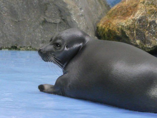 Im going to put my foot down.