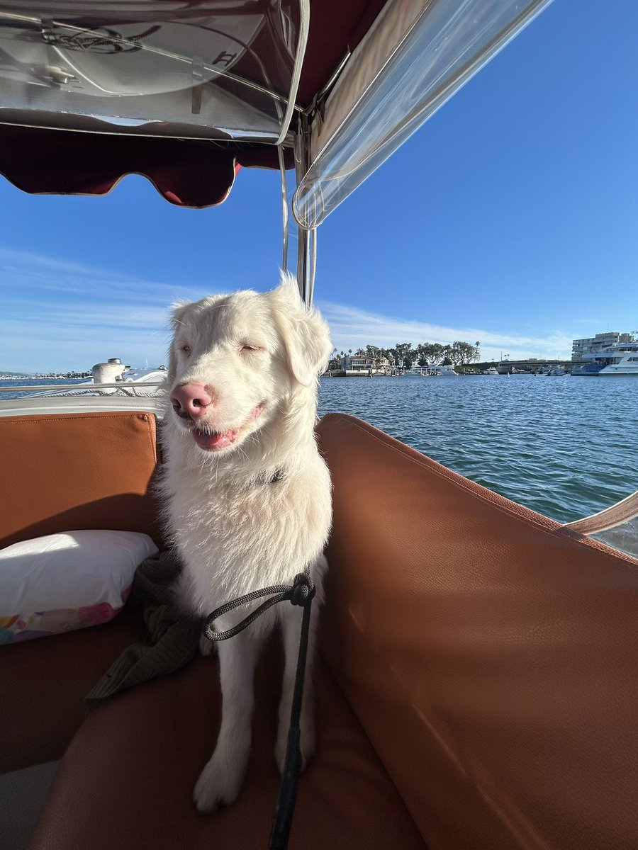 i ❤️ hole tweet media