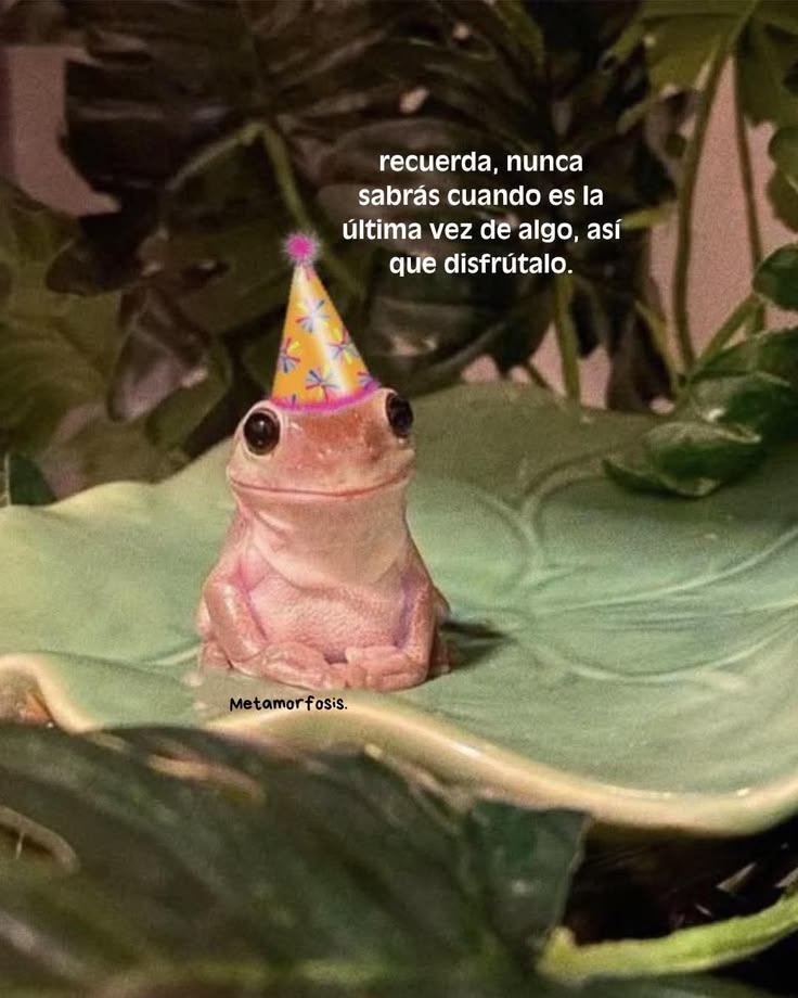 EspacioNoticias's tweet photo. https://t.co/6rkIIIHmRQ