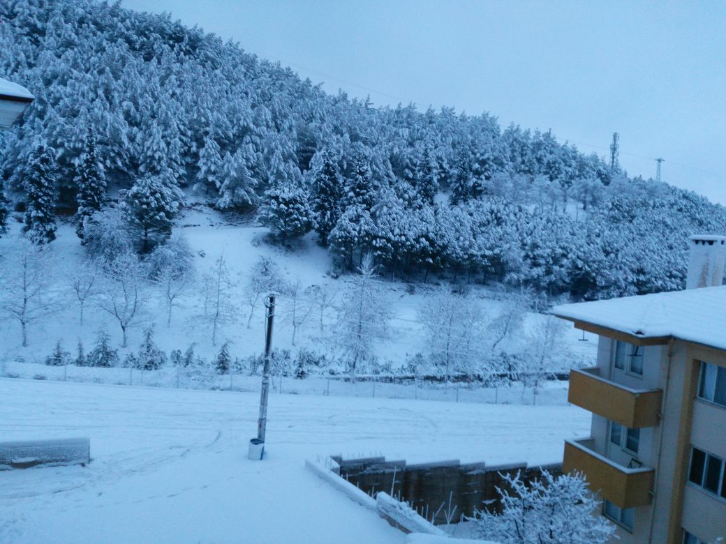 Sen yanımdan kalkıp gittin ya
Soğuk oldu,birden!
Sonra...
Karanlık kapladı uyuduğun yeri;
Uykumuz kaçıyordu ya
Gecenin yarısı senin di,
Yarısı da benim!
Sabah olurdu,sonra da güneşi paylaşırdık...
O Mavi var ya,
Gökyüzü o Hepimizin...
©️