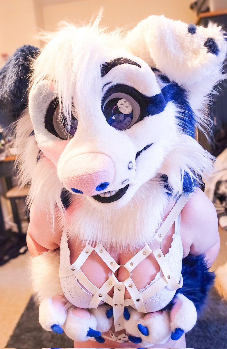🩷🩵Loving this new white harness c: 🩵🩷