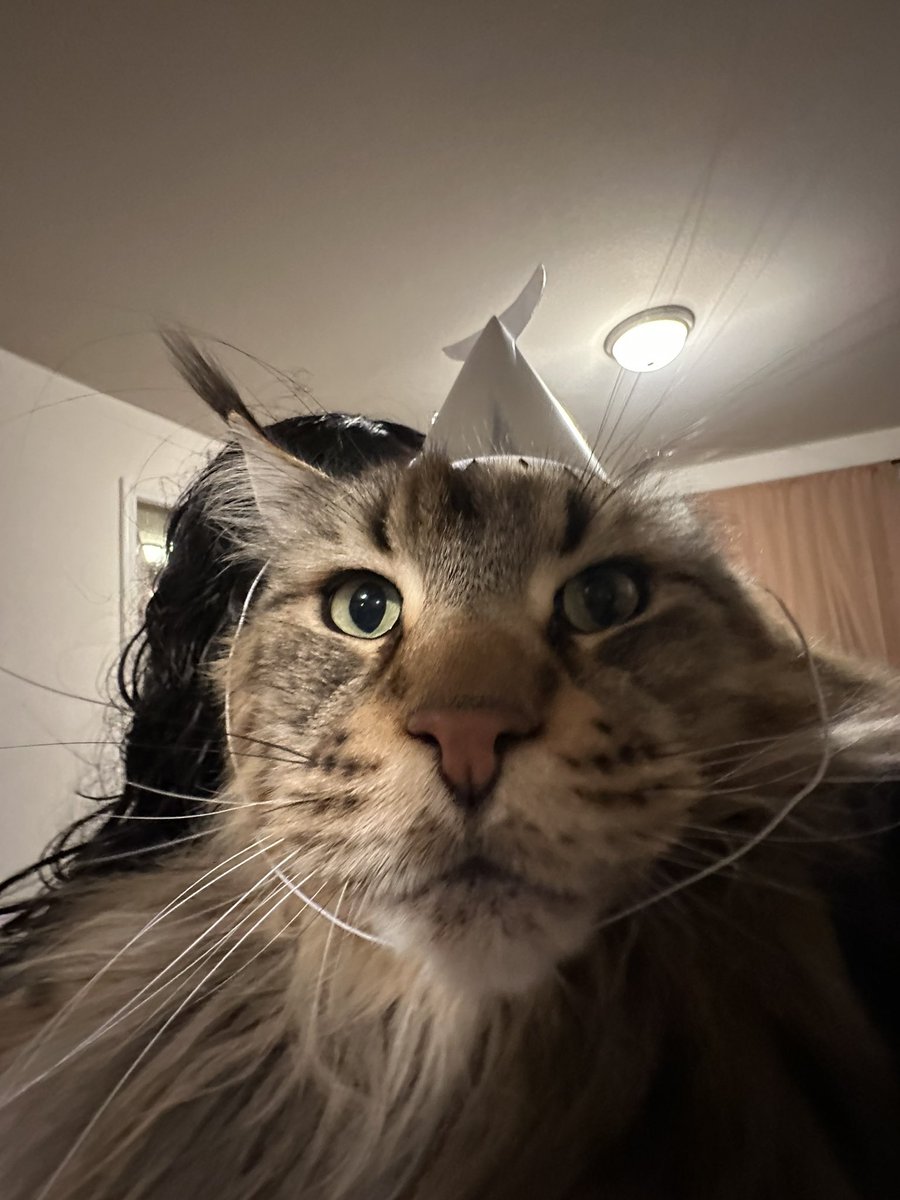 mebop 🔜 TFF tweet media