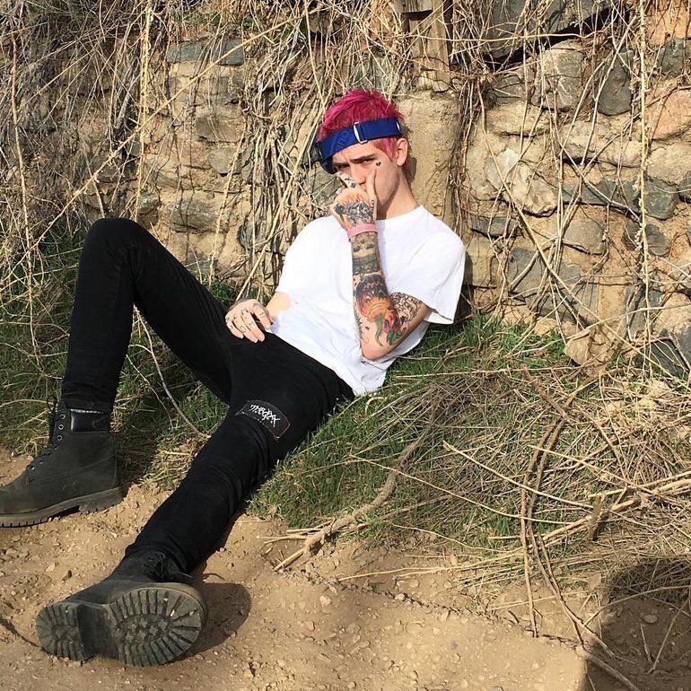 charlotte tweet media