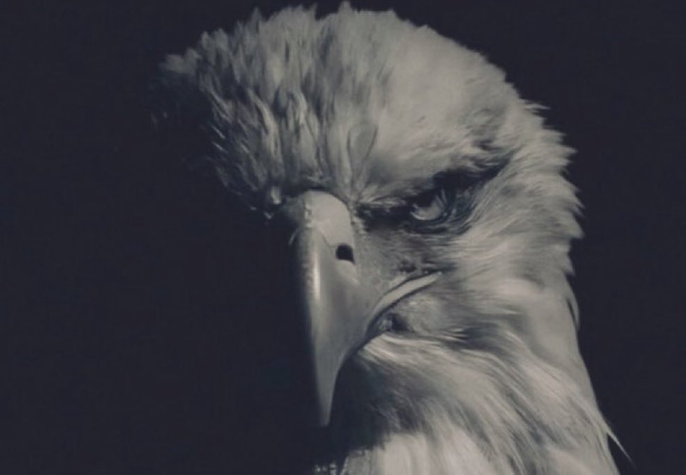 Clandestine tweet media