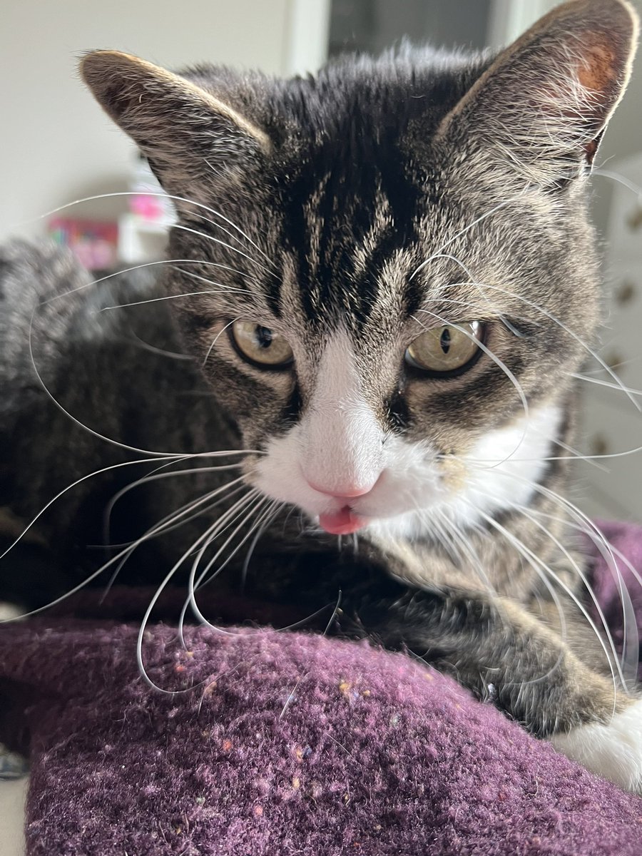 boots 👢 tweet media