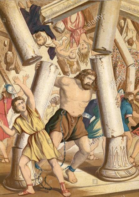 محمد المختار الشنقيطي tweet media