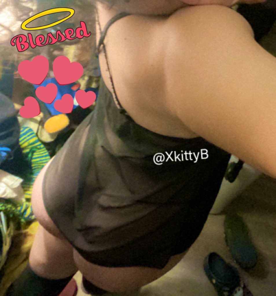 Bubble booty Kitty tweet media