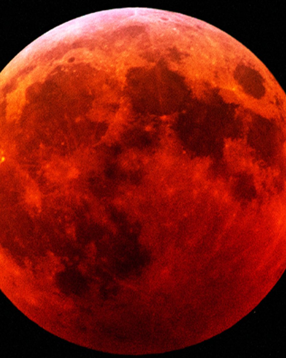 Angry Orchard tweet media