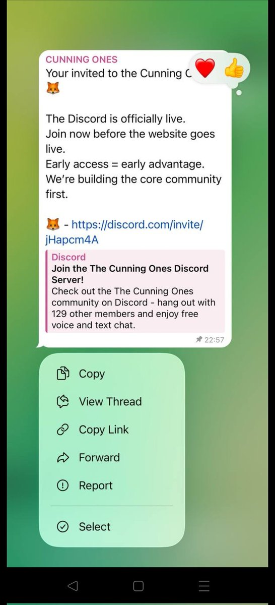 titatovernaar tweet media