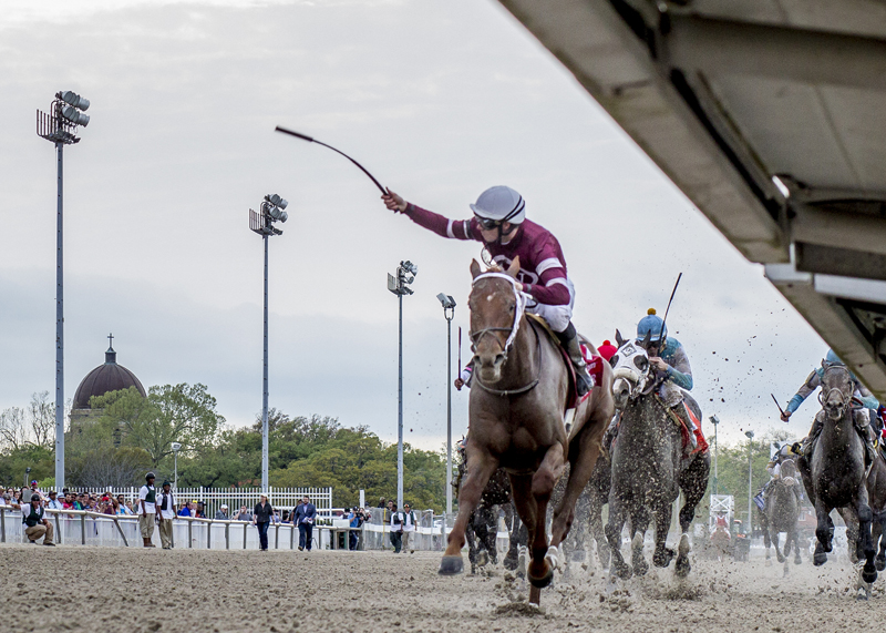 BloodHorse tweet media