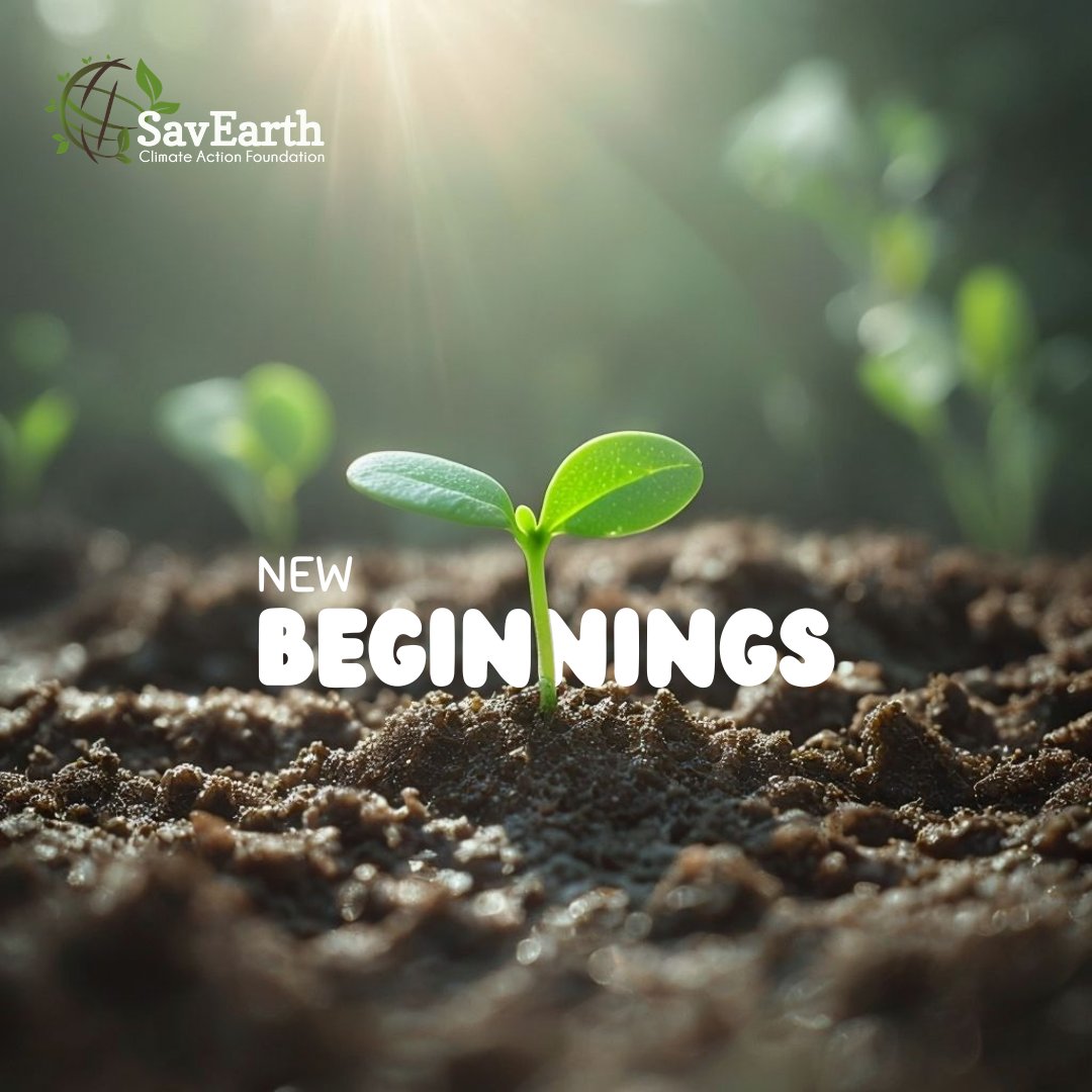 Rooted. Growing. Continuing.

#savearth